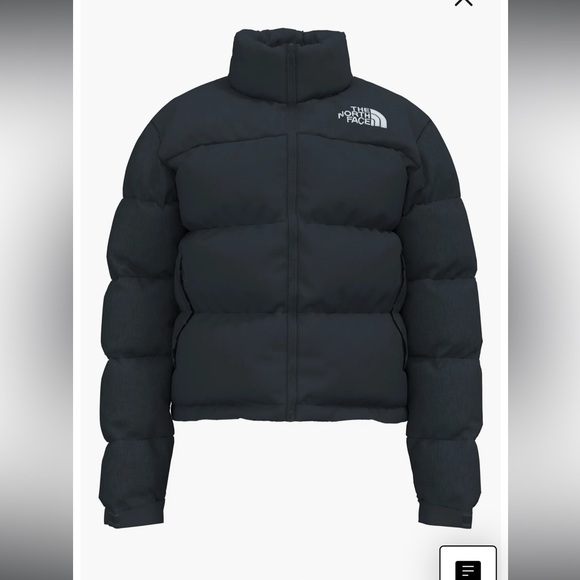 Nuptse® 1996 Packable Quilted 700 Fill Power Down Jacket - Picture 4 of 6